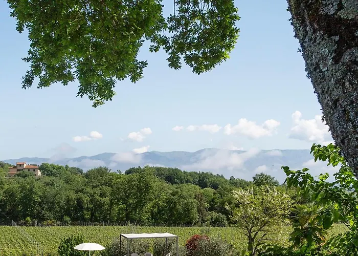 Luxury Chianti Countryside With Pool Bella Lisa Βίλα Cavriglia
